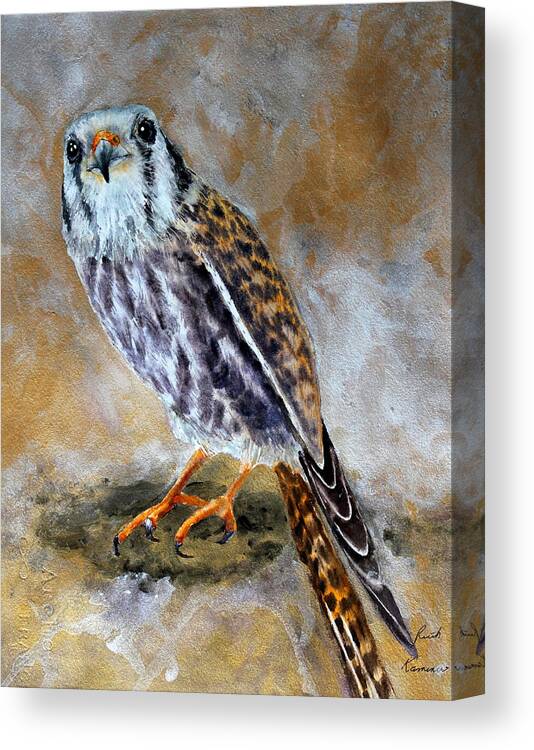 Raptor Canvas Print featuring the painting American Kestrel by Ruth Kamenev