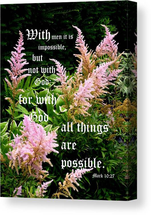 Pink Astilbe Canvas Print featuring the photograph Astilbe with Mark 10 vs 27 by Mike McBrayer