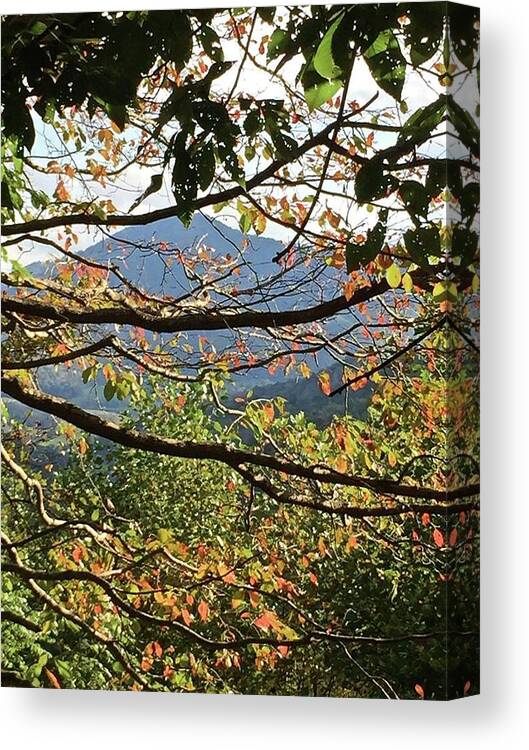 Mountain Canvas Print featuring the photograph Autumn Mountain by Kathy Ozzard Chism