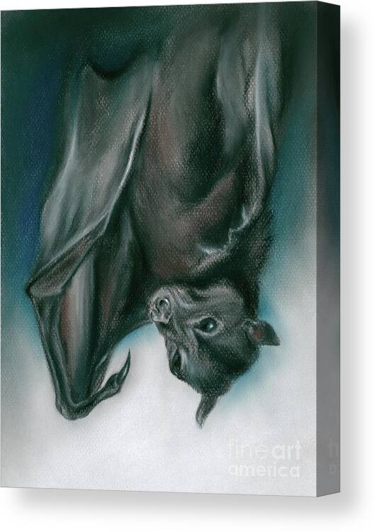 Animal Canvas Print featuring the painting Bat Just Hanging Around by MM Anderson