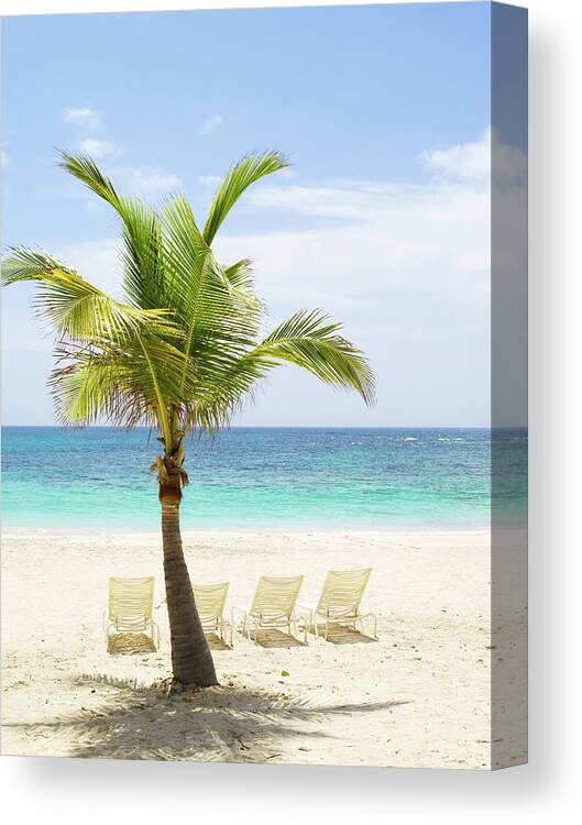 Scenics Canvas Print featuring the photograph Beach Scene With Palm Tree And Lounge by Sangfoto