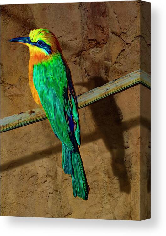 Photography Canvas Print featuring the photograph Bee Eater by Paul Wear
