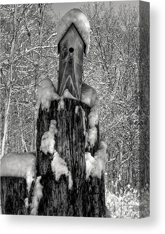 #winter Canvas Print featuring the photograph Black Tie by Cornelia DeDona