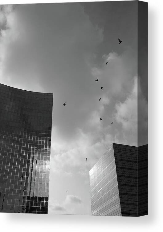 Black And White Canvas Print featuring the photograph Blocks And Birds by Kreddible Trout