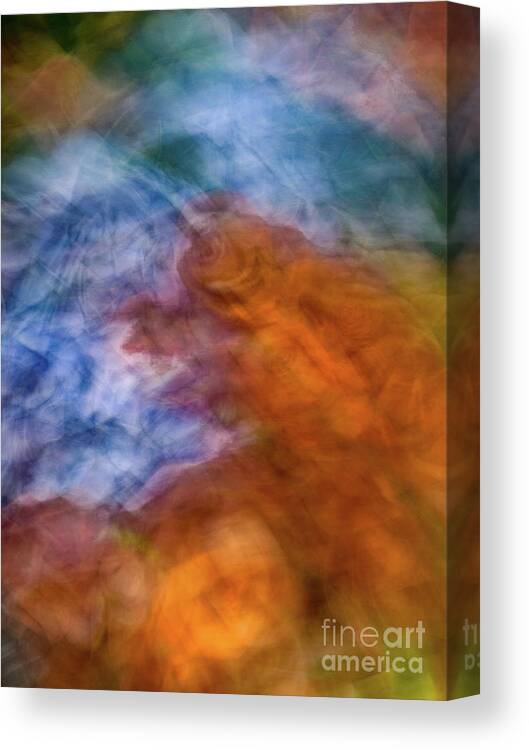Abstract Canvas Print featuring the photograph Blue and orange rose flower abstract by Phillip Rubino