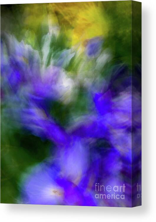 Abstract Canvas Print featuring the photograph Blue and yellow flower abstract by Phillip Rubino