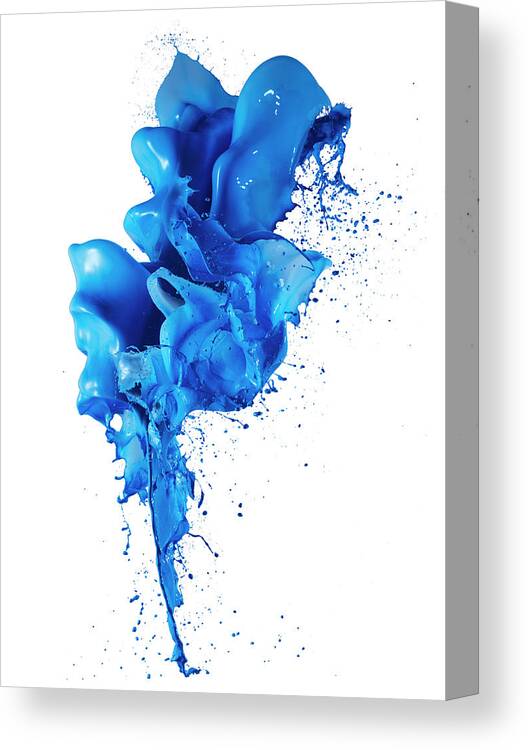 Blue Color Paint Splash White Background Canvas Print / Canvas Art by Biwa  Studio 