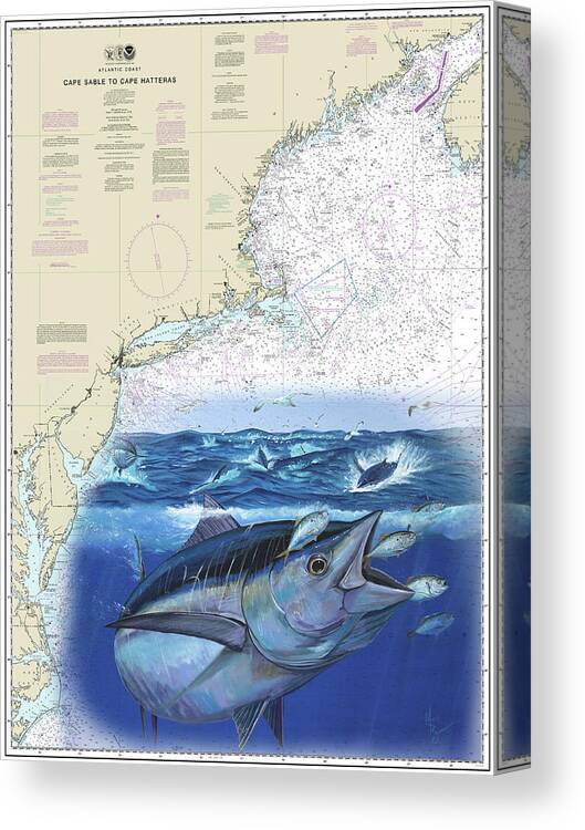 Bluefin Tuna Canvas Print featuring the painting Bluefin Tuna Chart by Mark Ray