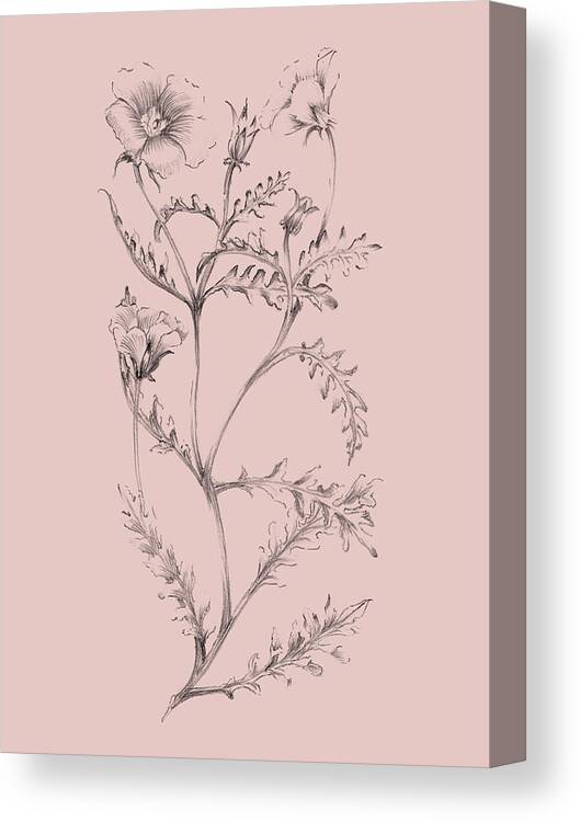 Flower Canvas Print featuring the mixed media Blush Pink Flower Illustration I by Naxart Studio