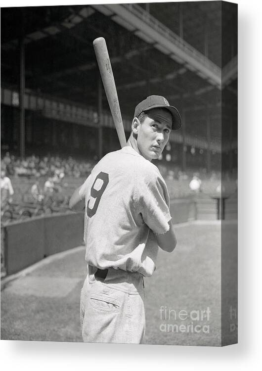 Baseball Cap Canvas Print featuring the photograph Boston Redsox Outfielder Ted Williams by Bettmann