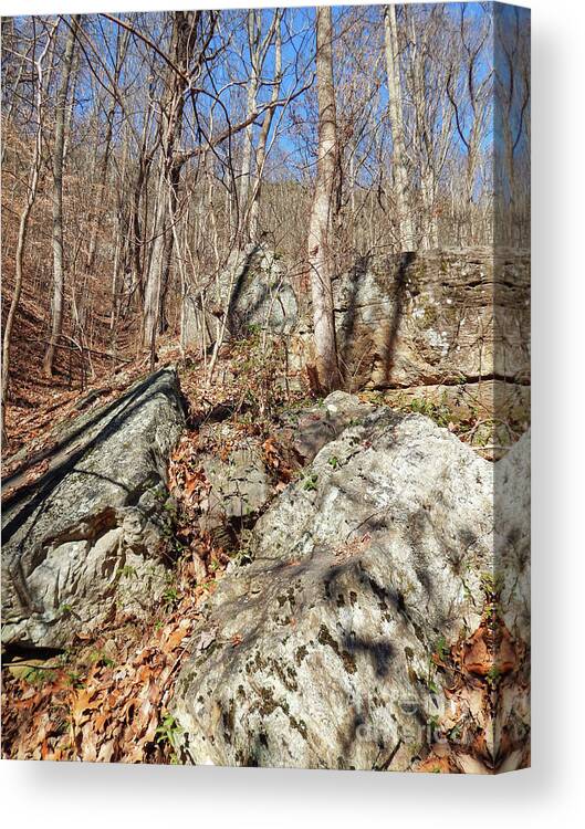 House Mountain Canvas Print featuring the photograph Boulders Along The Trail by Phil Perkins