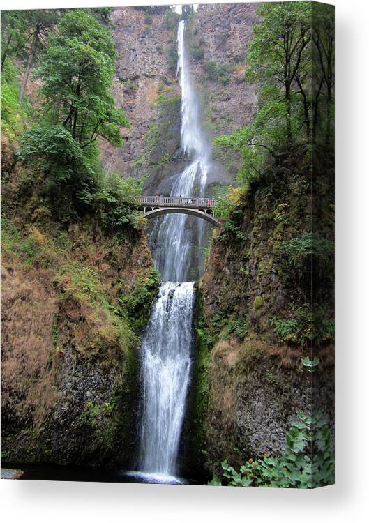 Waterfall Canvas Print featuring the digital art Bridge over Multenoma Falls in Oregon by Julia L Wright