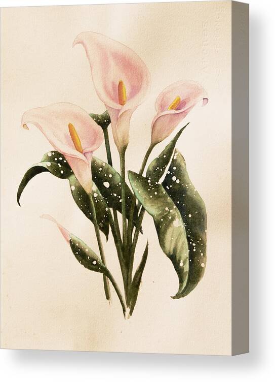 Floral Canvas Print featuring the painting Calla Lilys by Heidi E Nelson