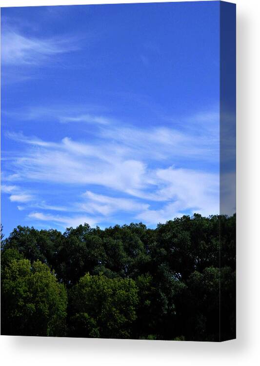 Collingwood's Clouds Canvas Print featuring the photograph Collingwoods Clouds 1 by Cyryn Fyrcyd