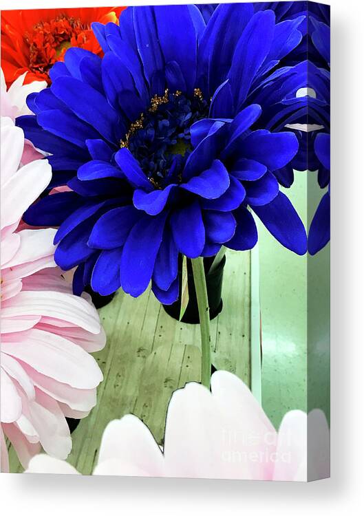 Flower Canvas Print featuring the photograph Color-faux Blooms by Rick Locke - Out of the Corner of My Eye