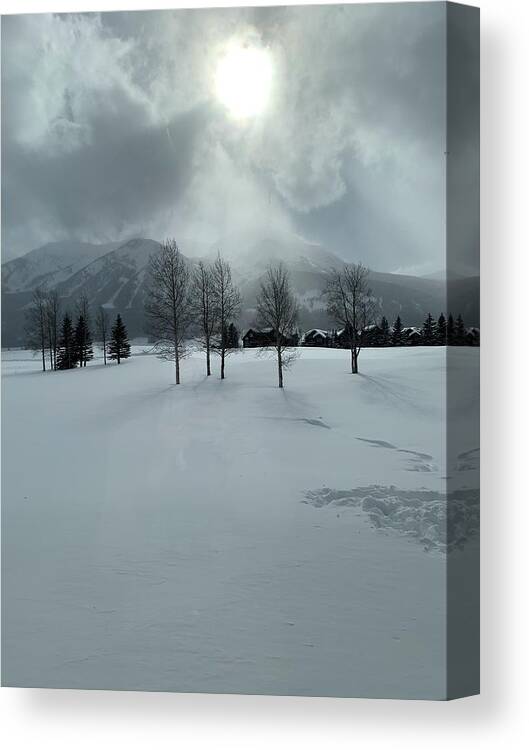 Landscape Canvas Print featuring the photograph Colorado snow day by Colette Lee