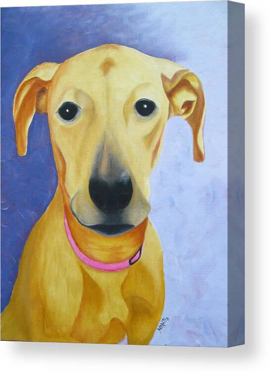 Dog Canvas Print featuring the painting Daisy by Gloria E Barreto-Rodriguez
