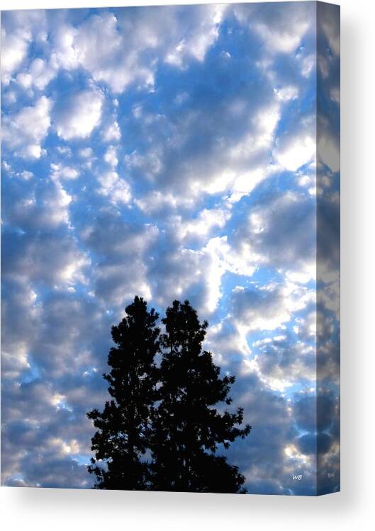 Sunrise Canvas Print featuring the photograph Dawn Sky 2 by Will Borden