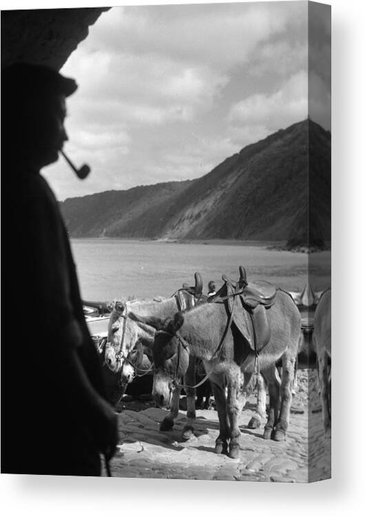 Working Animal Canvas Print featuring the photograph Donkey Rides by Chaloner Woods
