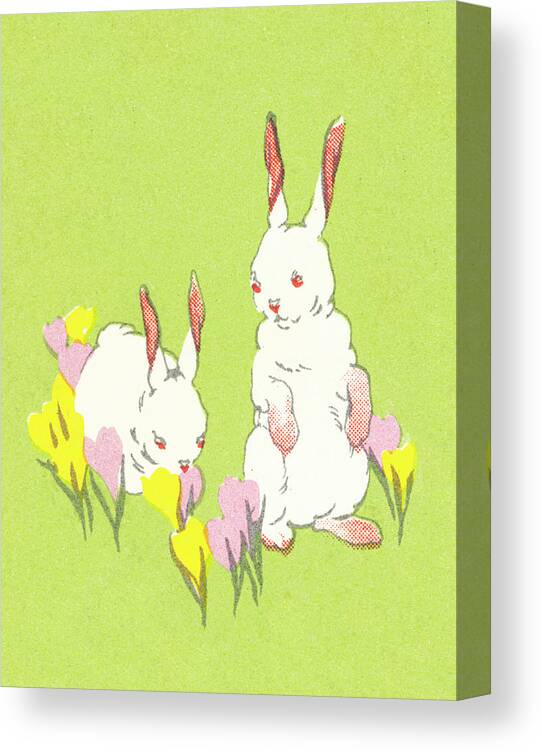 Animal Canvas Print featuring the drawing Easter bunnies by CSA Images