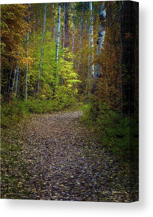 Best Of The Northwest Canvas Print featuring the photograph Enchanted Path by Greg Waddell