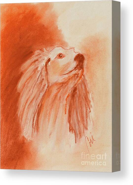 Saluki Canvas Print featuring the drawing Enlightenment by Cori Solomon