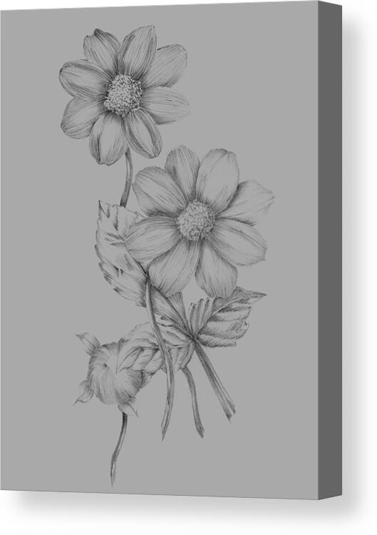 https://render.fineartamerica.com/images/rendered/default/canvas-print/6/8/mirror/break/images/artworkimages/medium/2/flower-sketch-naxart-studio-canvas-print.jpg