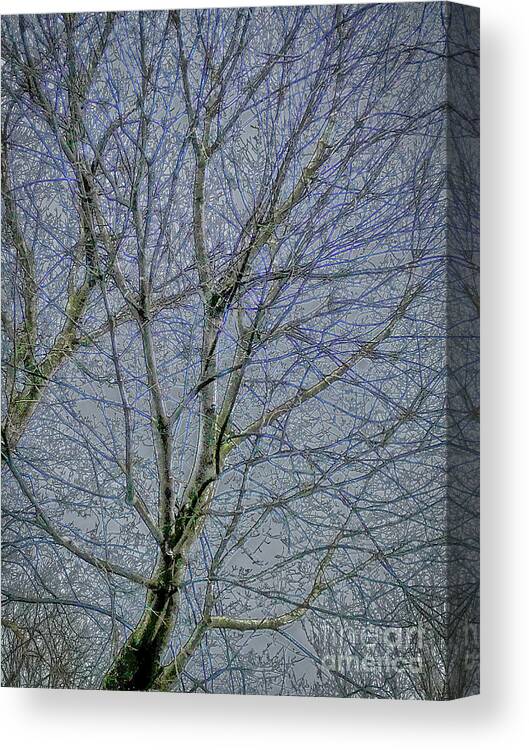 Frozen Canvas Print featuring the photograph Frozen Tree by William Norton