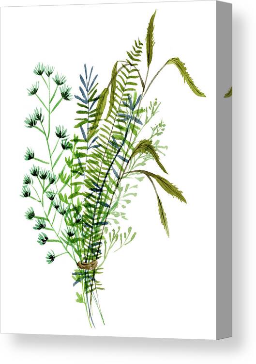 Botanical Canvas Print featuring the painting Green Bouquet II by Melissa Wang
