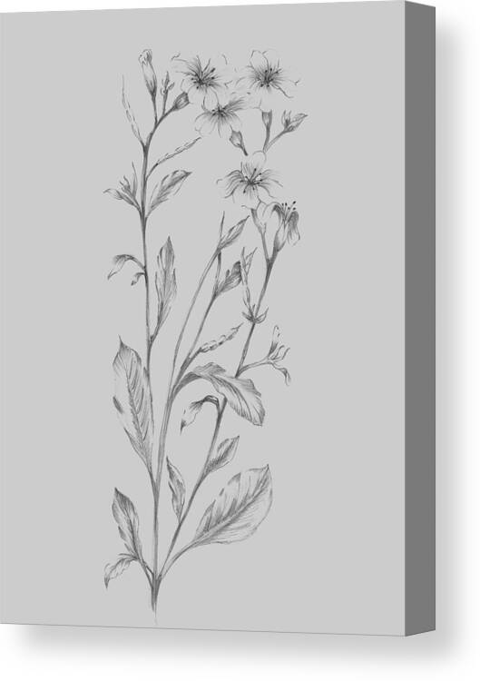 Flower Canvas Print featuring the mixed media Grey Flower Sketch Illustration by Naxart Studio