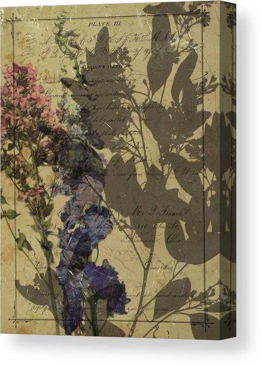 Photography Canvas Print featuring the photograph Handwritten Wildflowers II by Jennifer Goldberger