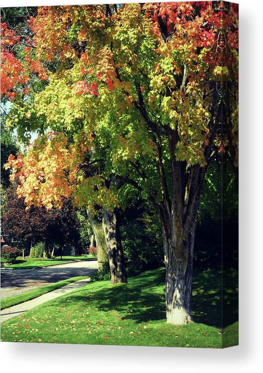 Her Beautiful Path Home Canvas Print featuring the photograph Her Beautiful Path Home by Cyryn Fyrcyd