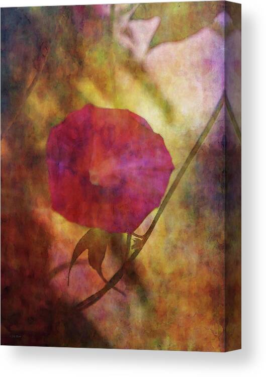 Impressionist Canvas Print featuring the photograph Hidden Among The Vines 3172 IDP_6 by Steven Ward