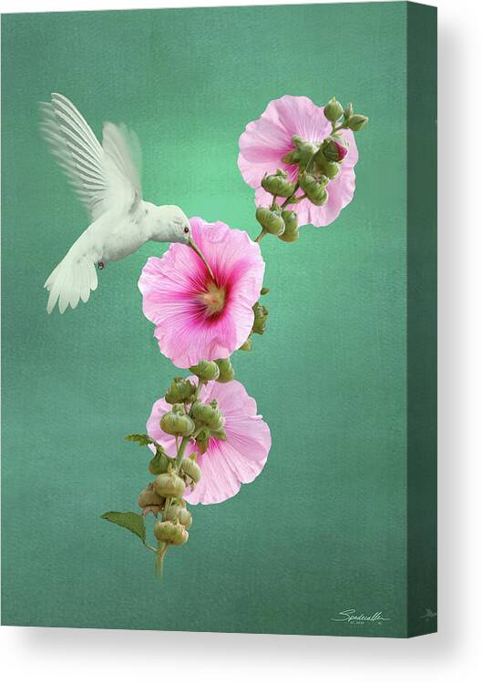 Hummingibird Canvas Print featuring the digital art Hummingbird And Malva Wildflower by M Spadecaller