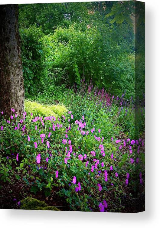 Garden Canvas Print featuring the photograph In The Land Of Pink Flowers by Alida M Haslett