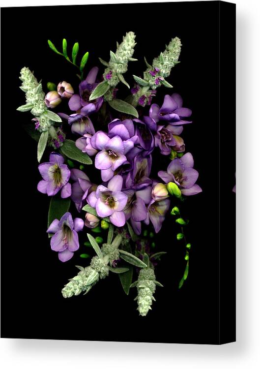 A Bunch Of Lamb?s Ear & Freesia Flowers Canvas Print featuring the painting Lamb?s Ear & Freesia by Susan S. Barmon