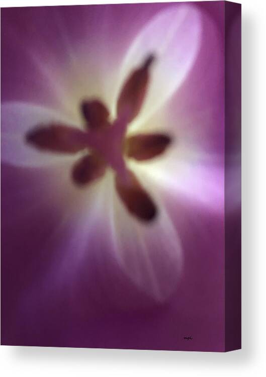 Macro Canvas Print featuring the photograph Macro Purple Tulip by Marian Lonzetta