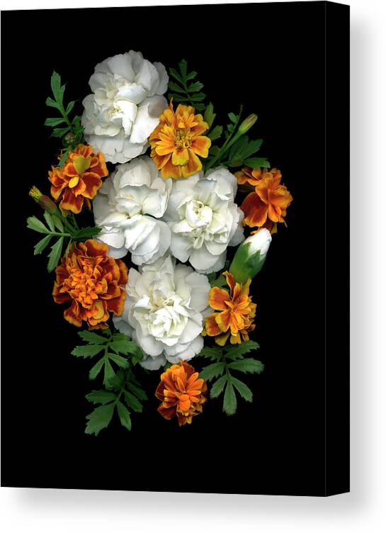 A Bunch Of Marigolds And Carnations Bunched Closely Together Against A Black Background Canvas Print featuring the painting Marigolds And Carnations by Susan S. Barmon