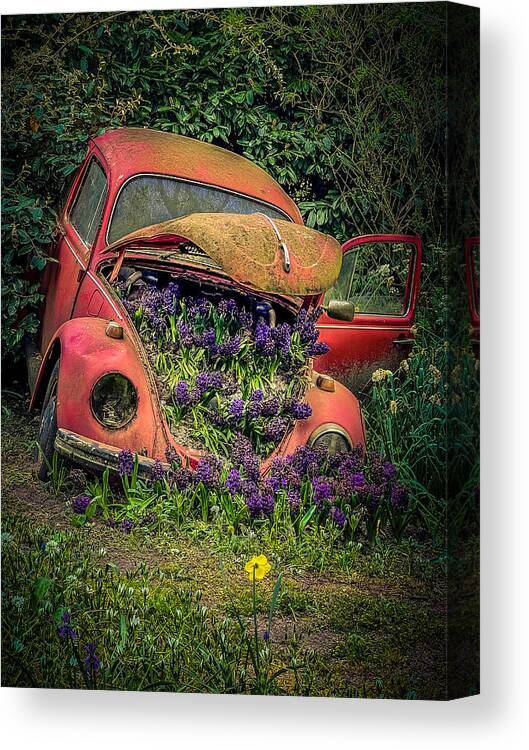 Nature Canvas Print featuring the photograph Nature Will Find A Way by Bernardine De Laat