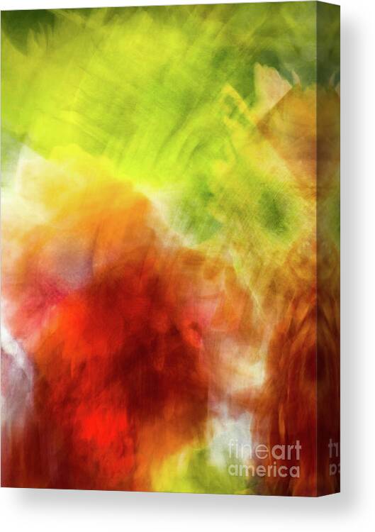 Abstract Canvas Print featuring the photograph Orange And Green Flower Abstract by Phillip Rubino