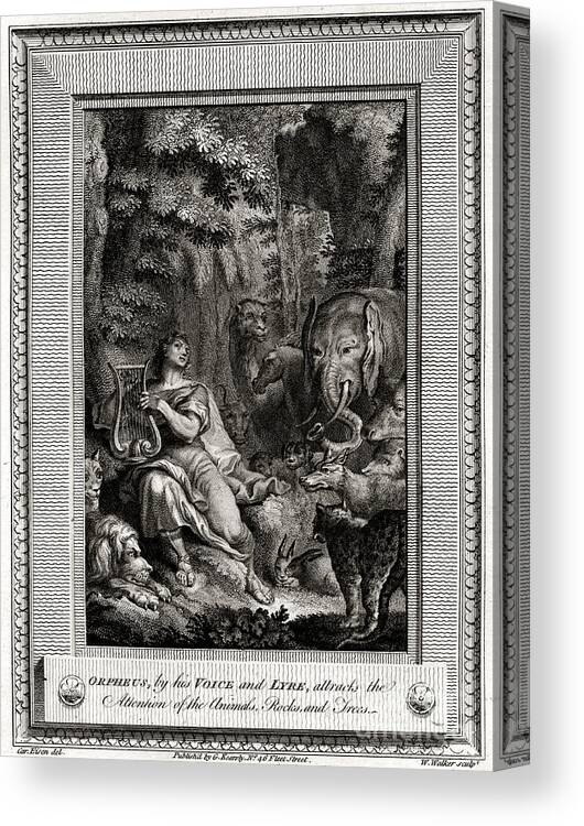 Singer Canvas Print featuring the drawing Orpheus, By His Voice And Lyre by Print Collector