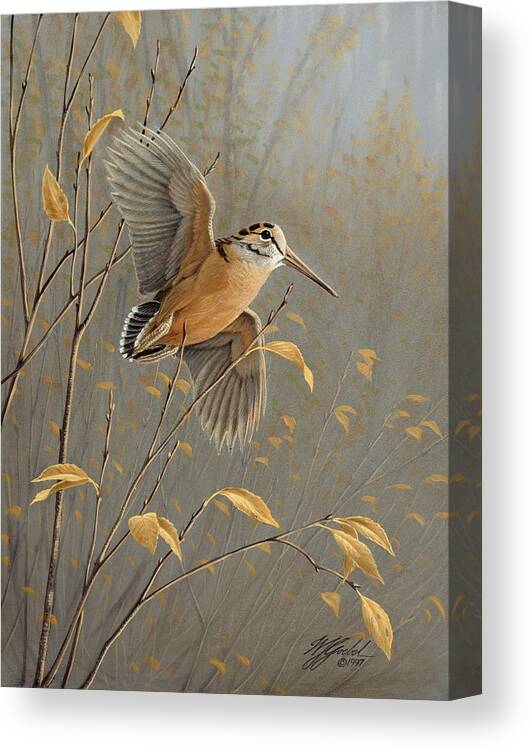 Woodcock In Flight Canvas Print featuring the painting Out Of Cover by Wilhelm Goebel