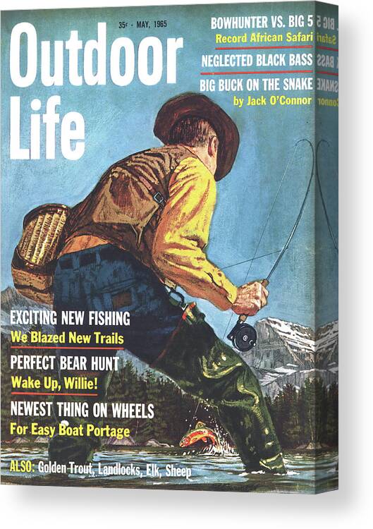 Trout Canvas Print featuring the drawing Outdoor Life Magazine Cover May 1965 by Outdoor Life