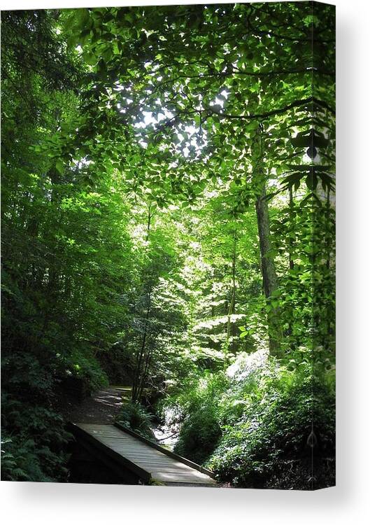 Green Canvas Print featuring the photograph Oxygen Trail by Kathy Ozzard Chism