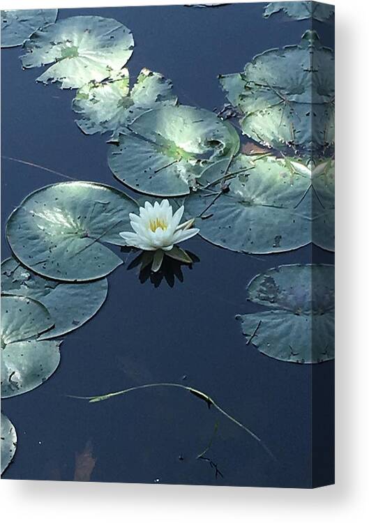 Nature Canvas Print featuring the photograph Peace in the Present by Anjel B Hartwell
