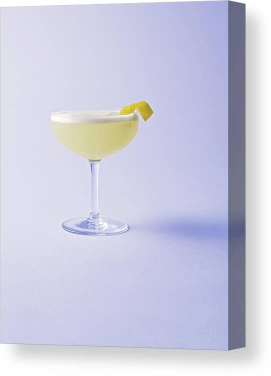 Martini Glass Canvas Print featuring the photograph Pisco Sour by Mark Lund