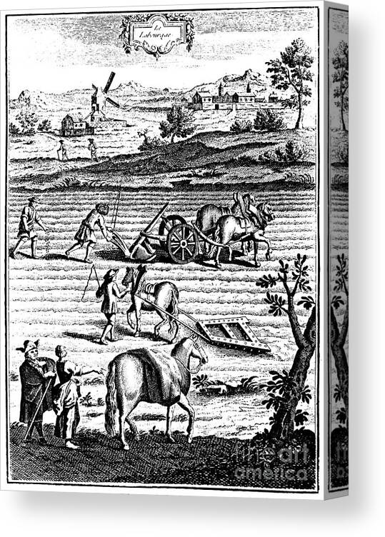 Horse Canvas Print featuring the drawing Ploughing And Harrowing With Horses by Print Collector