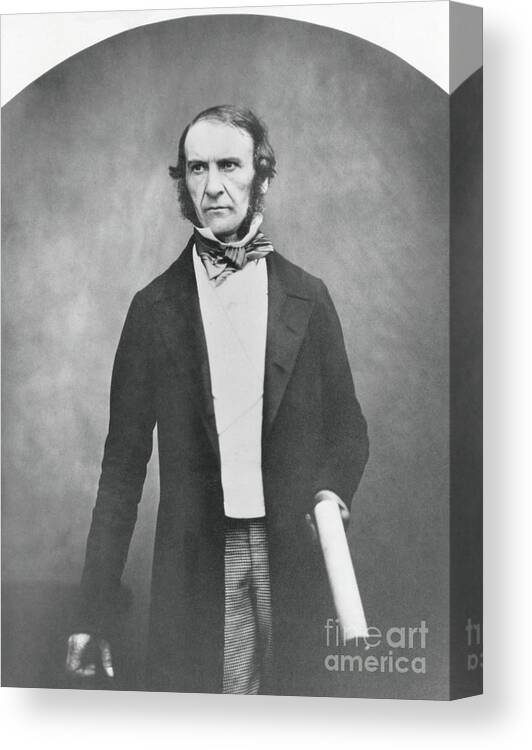 Education Canvas Print featuring the photograph Prime Minister William Gladstone by Bettmann