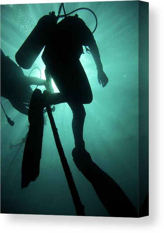 Underwater Canvas Print featuring the photograph Pulau Redang by Underwater Graphics