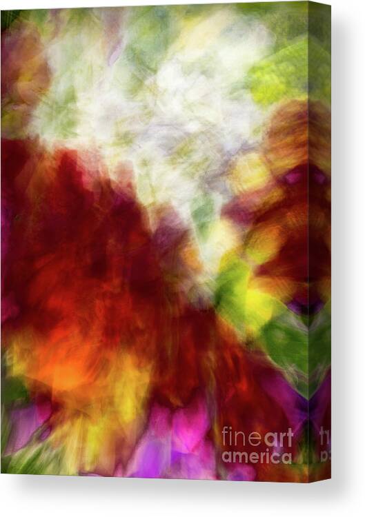 Abstract Canvas Print featuring the photograph Red and white flower motion abstract by Phillip Rubino